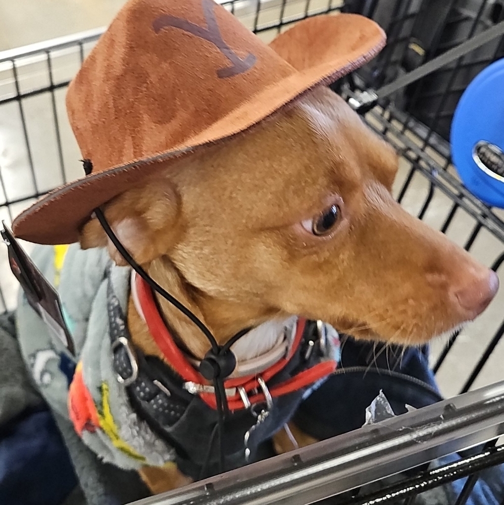 Don't Forget To Bundle! - image 1